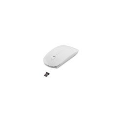 Everest Sm-781 Siyah Optik Nano Receive Kablosuz Mouse