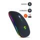 Everest SM-BT11 Ince Rgb Kablosuz Gaming Mouse